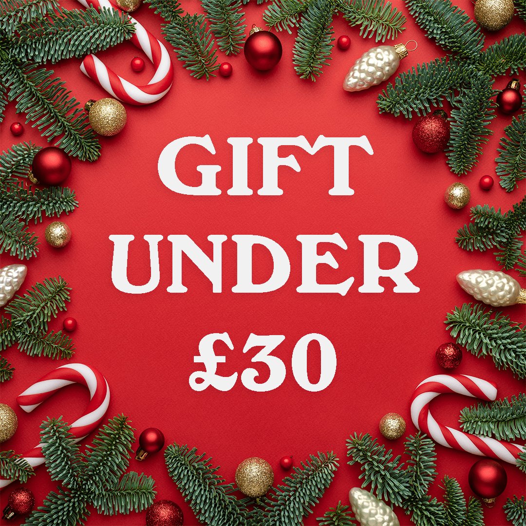 christmas gifts under 30 the boredroom store