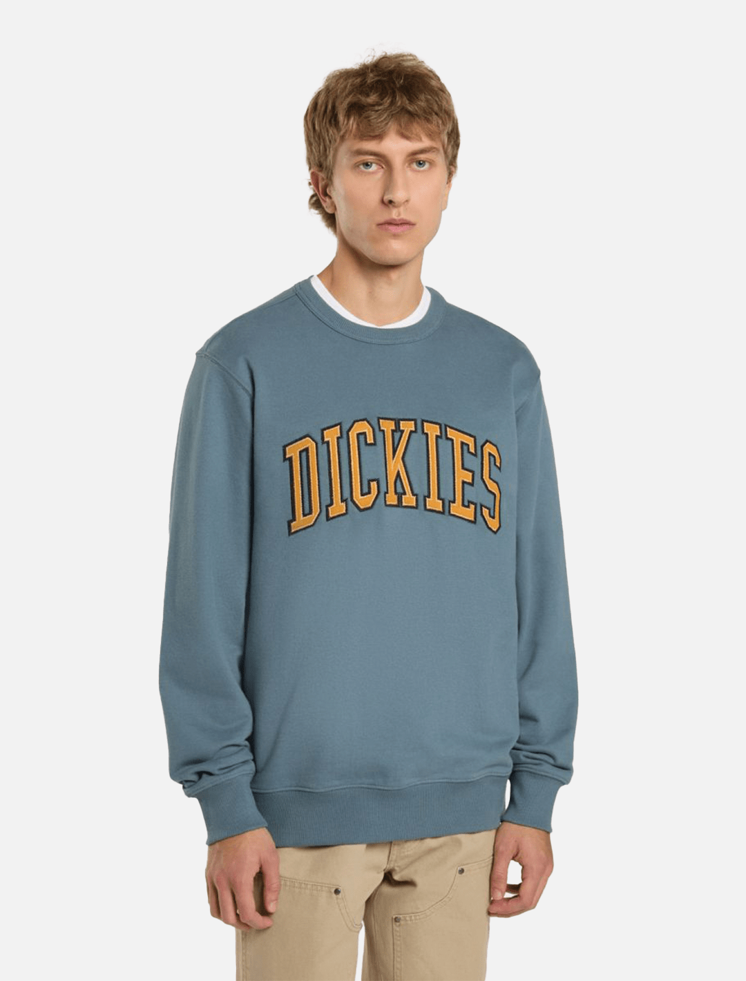 Dickies  Aitkin Sweatshirt l Stormy Weather