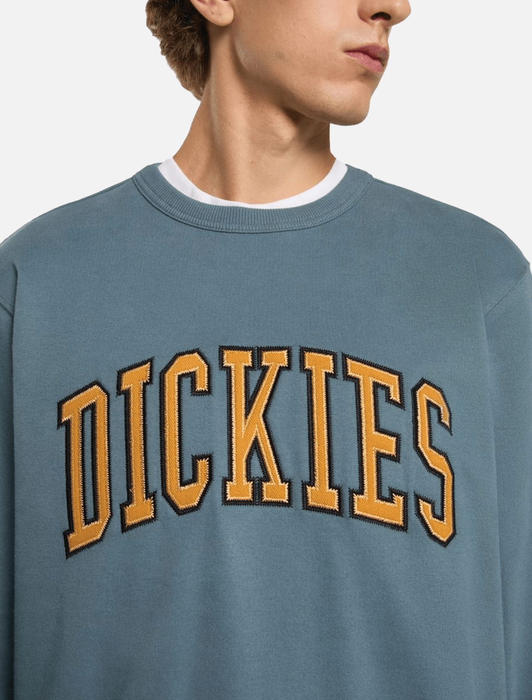 Dickies  Aitkin Sweatshirt l Stormy Weather