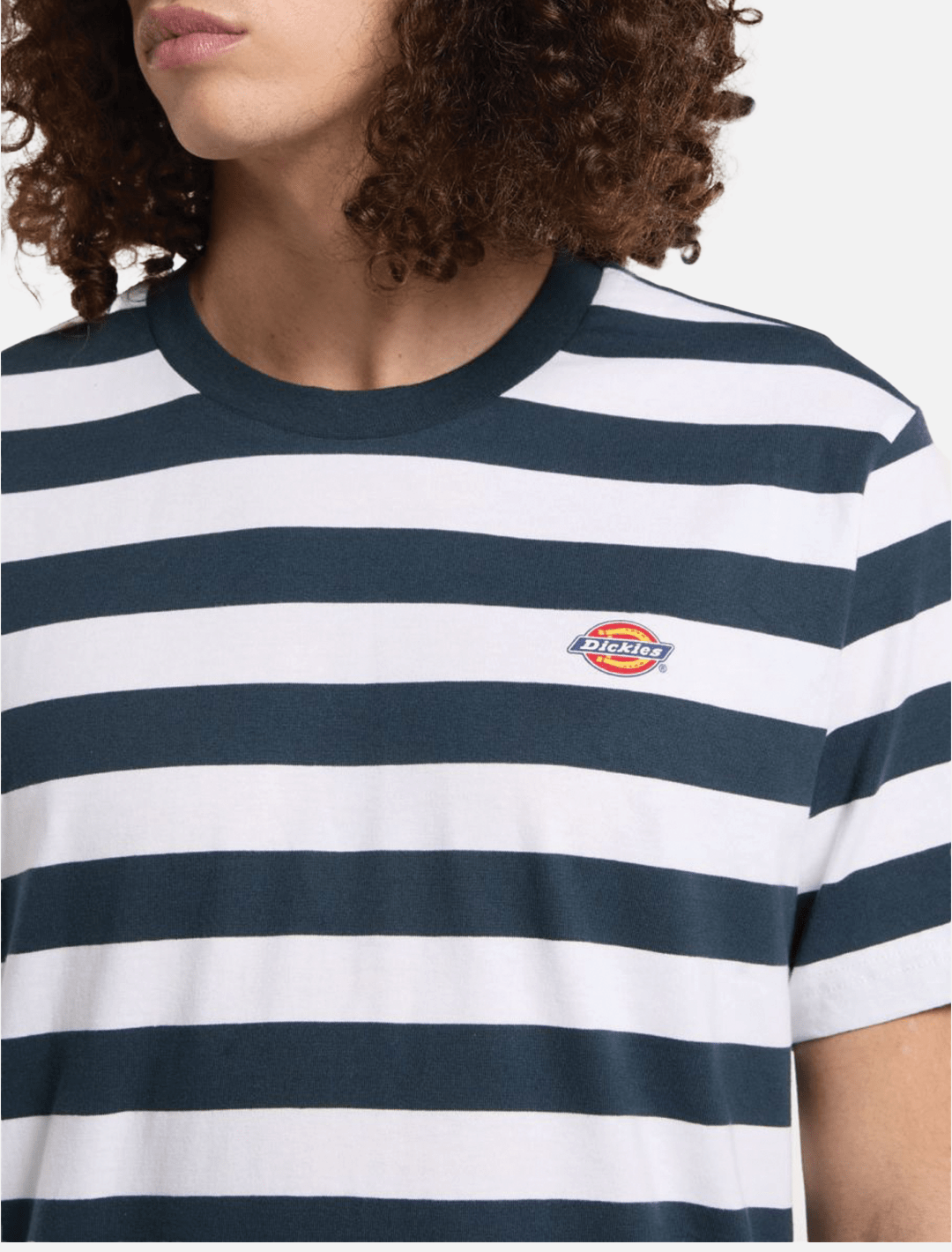 Dickies Rivergrove Tee l Air Force Blue